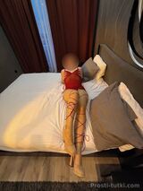 Миниатюра Индивидуалка Лиса Центральный Фотография 