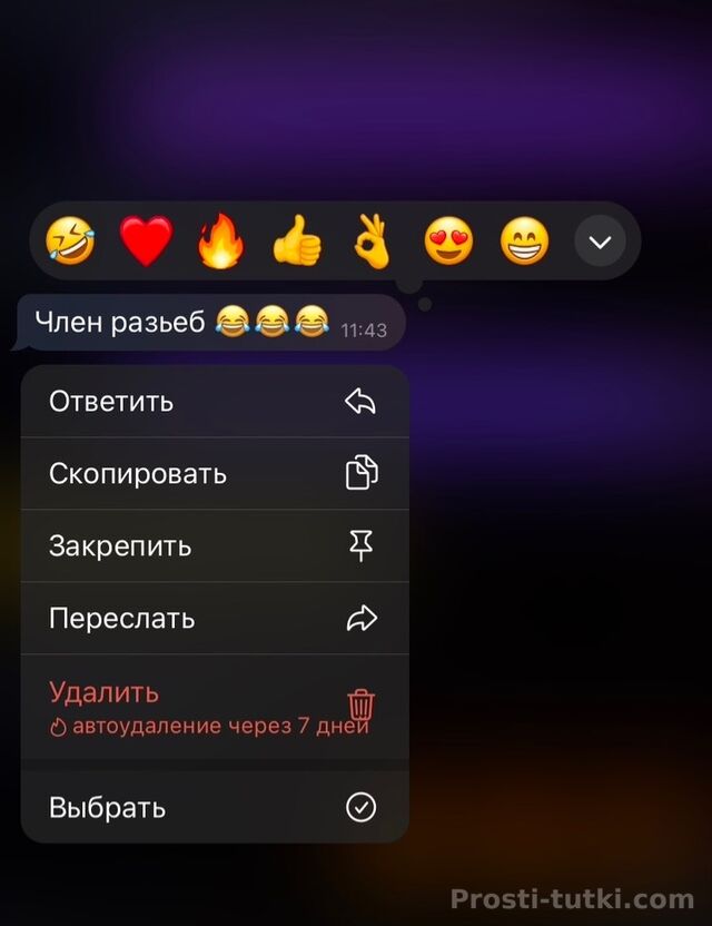 Мужчина Давид ЗИП Фотография 